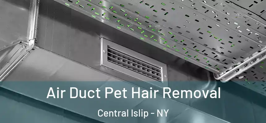  Air Duct Pet Hair Removal Central Islip - NY