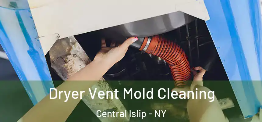 Dryer Vent Mold Cleaning Central Islip - NY