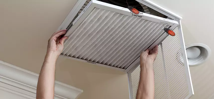 Preventive Cockroach-Proofing for Ducts in Central Islip