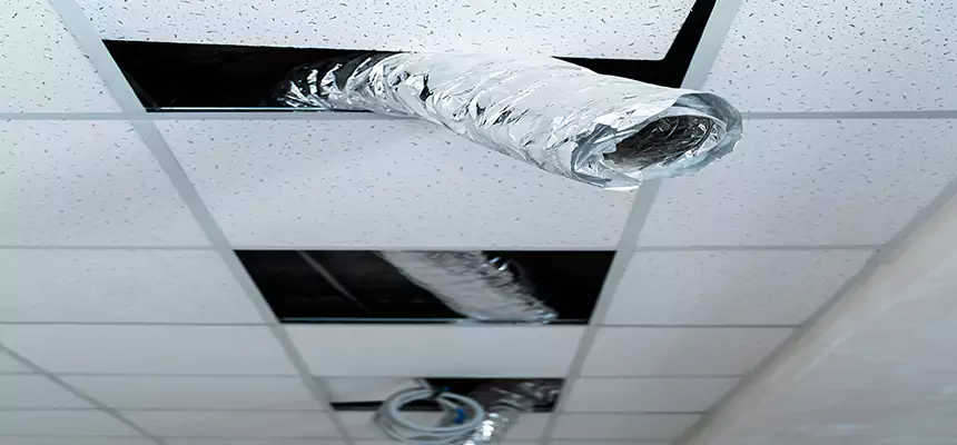 Affordable HVAC Sanitizing After Pest Removal in Central Islip