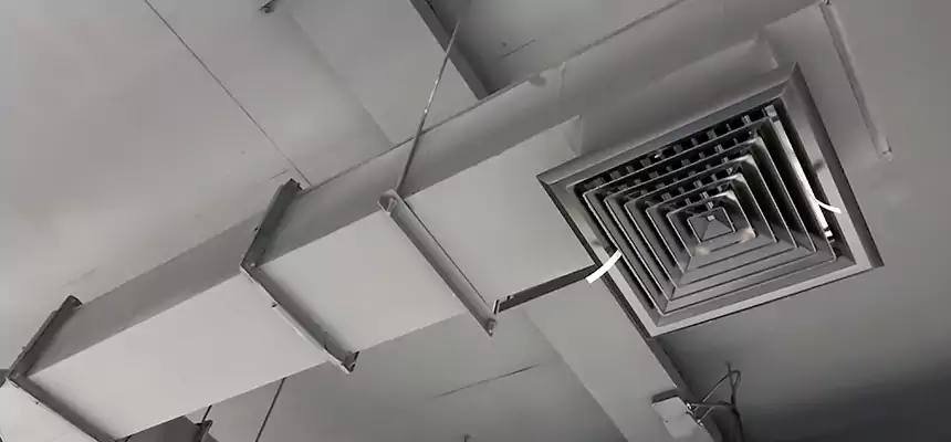 Our Rodent Droppings In Vents Services in Central Islip, NY