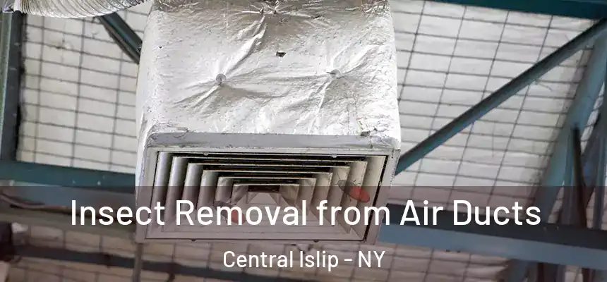  Insect Removal from Air Ducts Central Islip - NY
