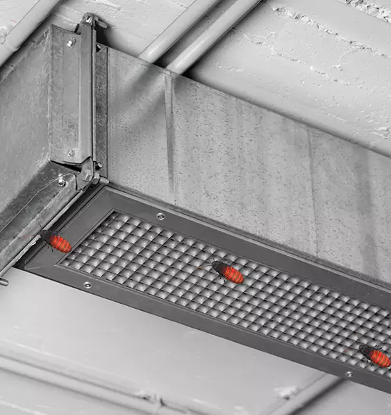 About Air Duct Cockroach Removal in Central Islip, NY