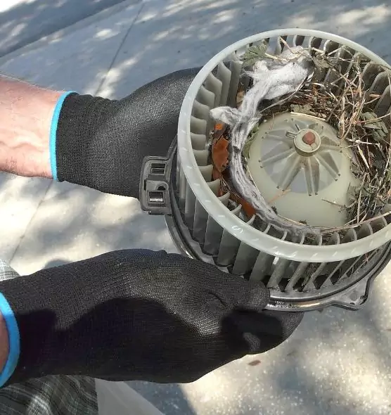 About Air Duct Mice Removal in Central Islip, NY