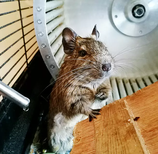 Why Homeowners & Businesses Trust Us Central Islip, NY