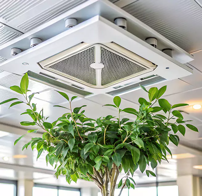 Why Homeowners & Businesses Trust Us in Central Islip, NY