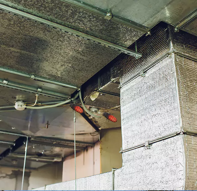 Why Homeowners & Businesses Trust Us Central Islip, NY?