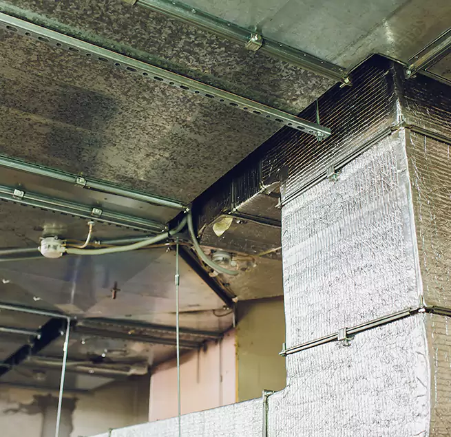 Why Homeowners & Businesses Trust Us in Central Islip, NY?